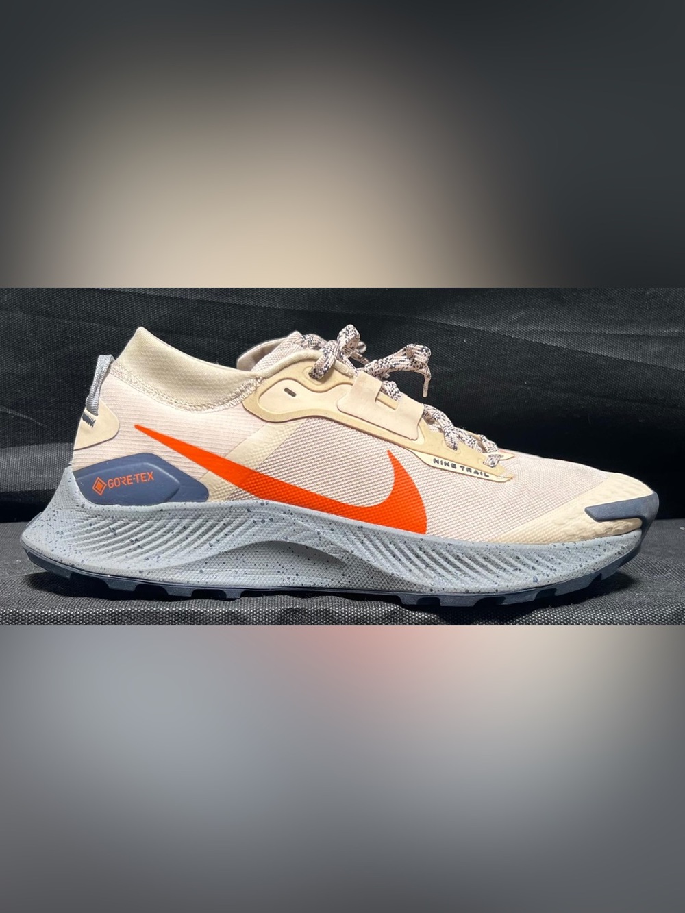 Nike Pegasus Trail 3 GTX Men’s Size 9.5 DC8793200 Preowned